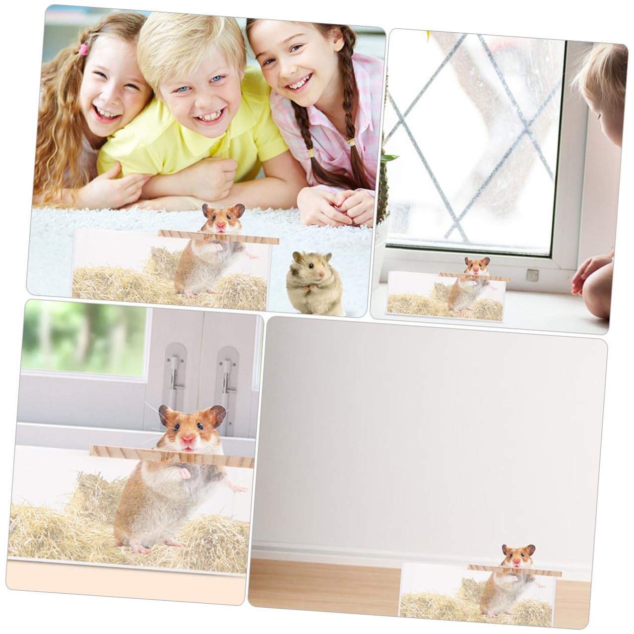 SHINEOFI Chinchilla Badewannen mit Glatter Oberfläche Durchsichtige 2 Stück aus Acryl Leicht und Robust für Hamster und Kleine Haustiere im Haushalt
