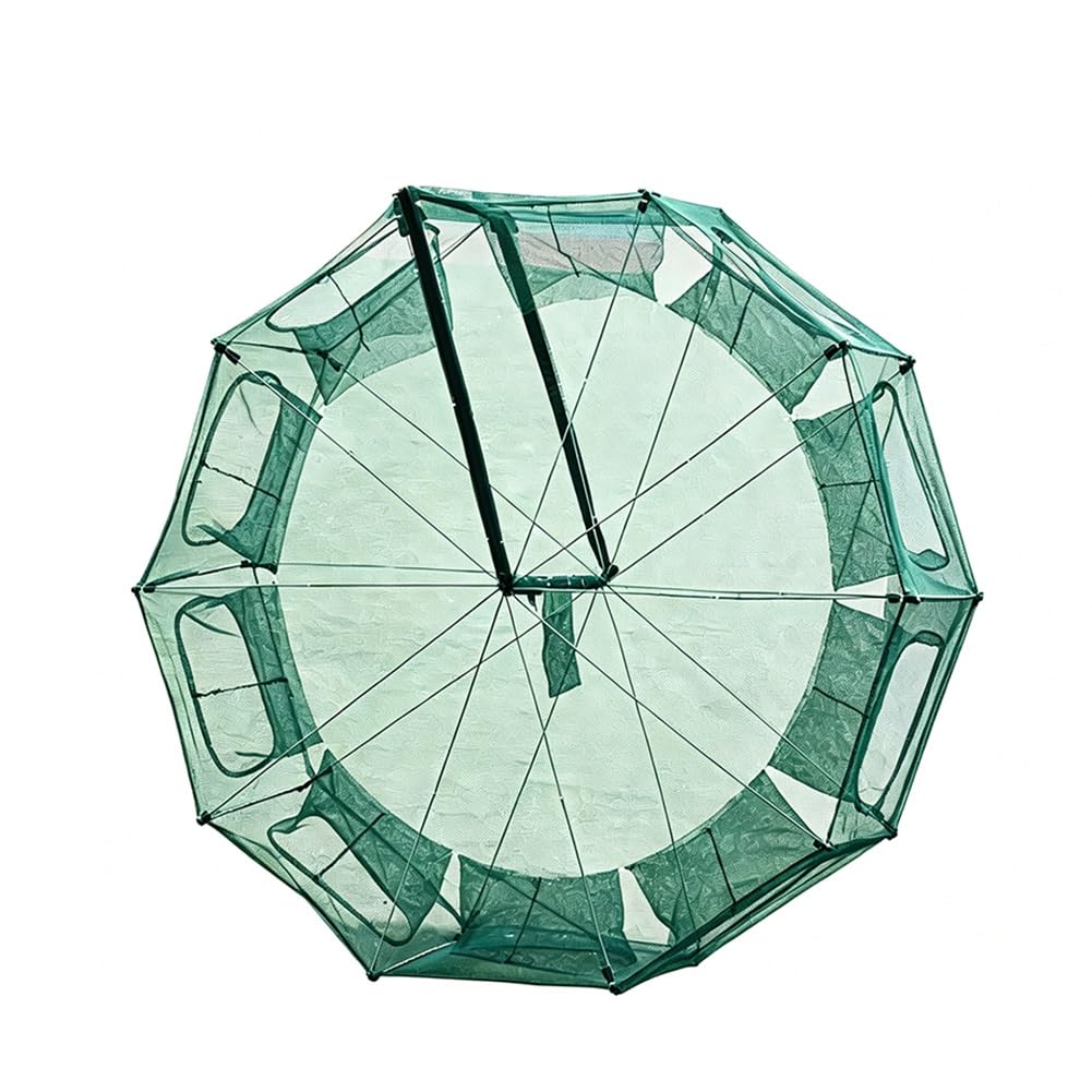 Red de Pesca con Trampa Cebo Plegable Nailon | Verde, 100-150x50cm, Pesca: Cangrejo Minnow Crawdad Langosta Camarón