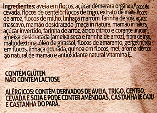 Cerealle Granola 12 Grãos Grings 800g