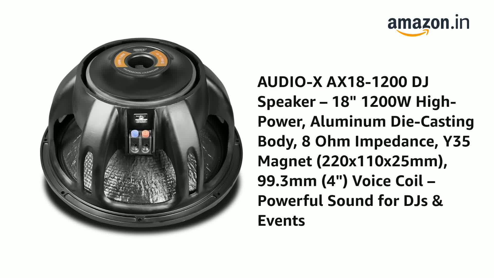 AUDIO-X AX18-1200 DJ Speaker – 18