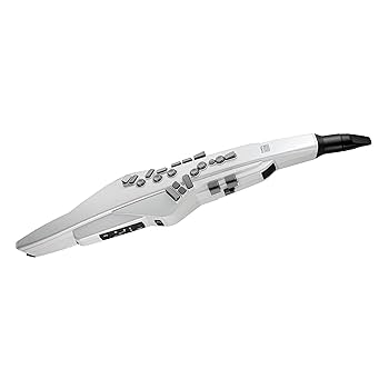 Aerophnne　エアロフォン Roland Aerophone AE-10 エアロフォン ウインドシンセサイザー