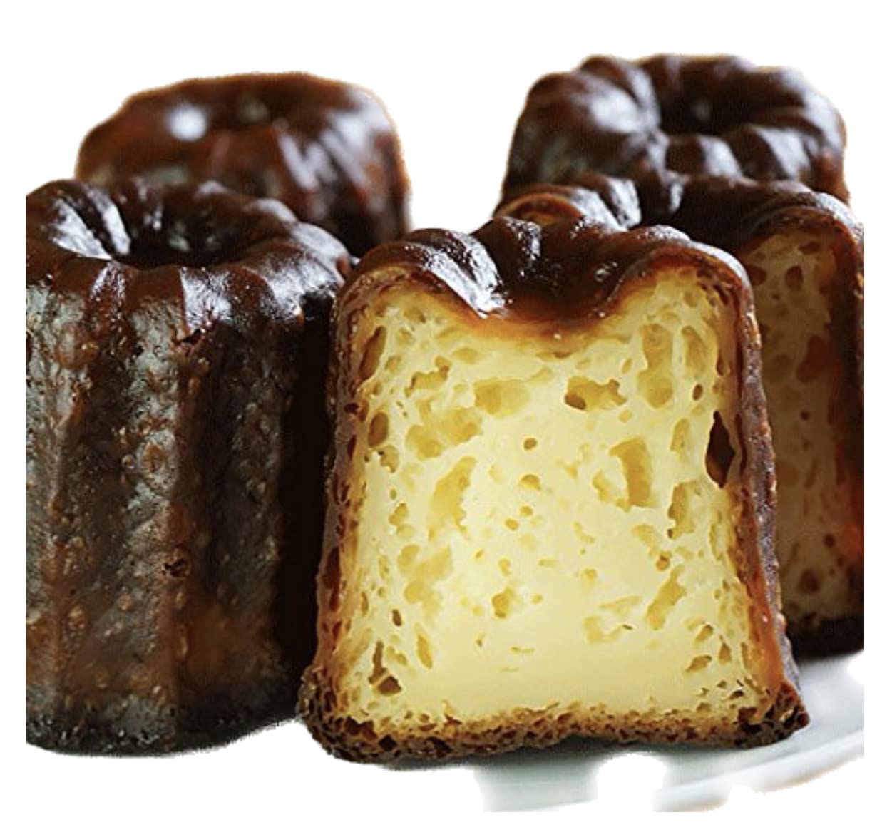 Amazon.co.jp: カヌレ6個入 カヌレ・ド・ボルドー cannele de Bordeaux
