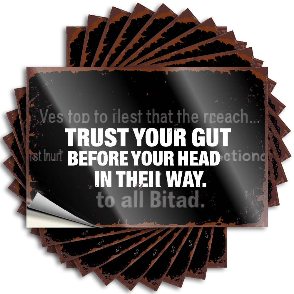 Fzfn Men's Colour Retro Decor Laptop Quote | Trust Your Gut Before Your Head. Inspirational Durable Vinyl Sticker Easy Apply For Billiards(8X12cm)