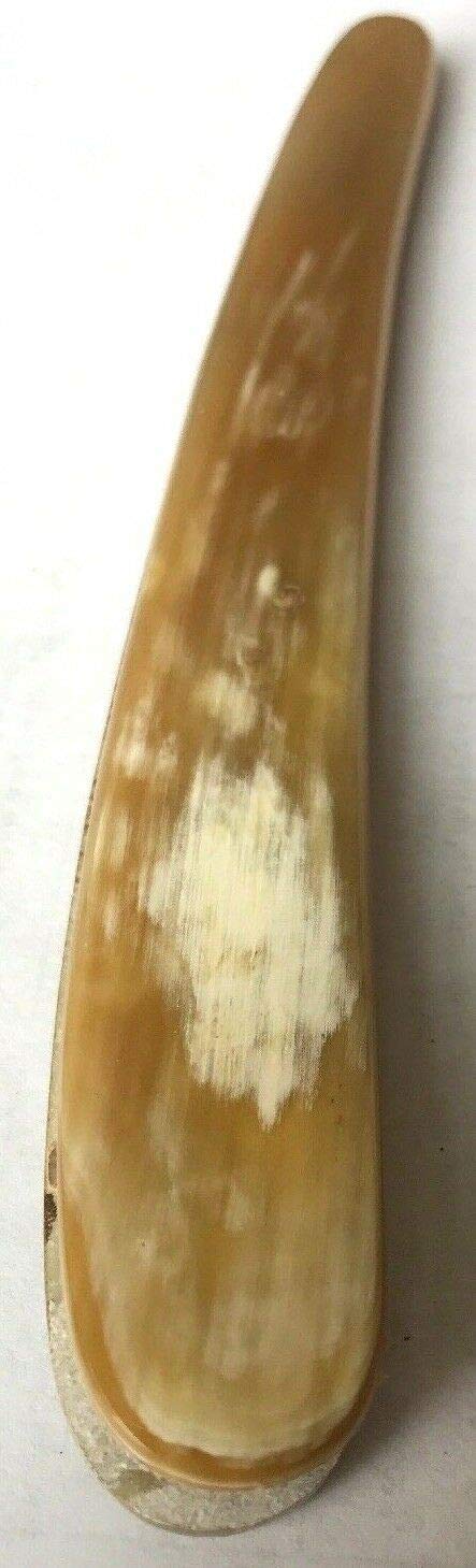 2 Real Ox Horn Handles to Restore Straight Razors With Brass Hardware