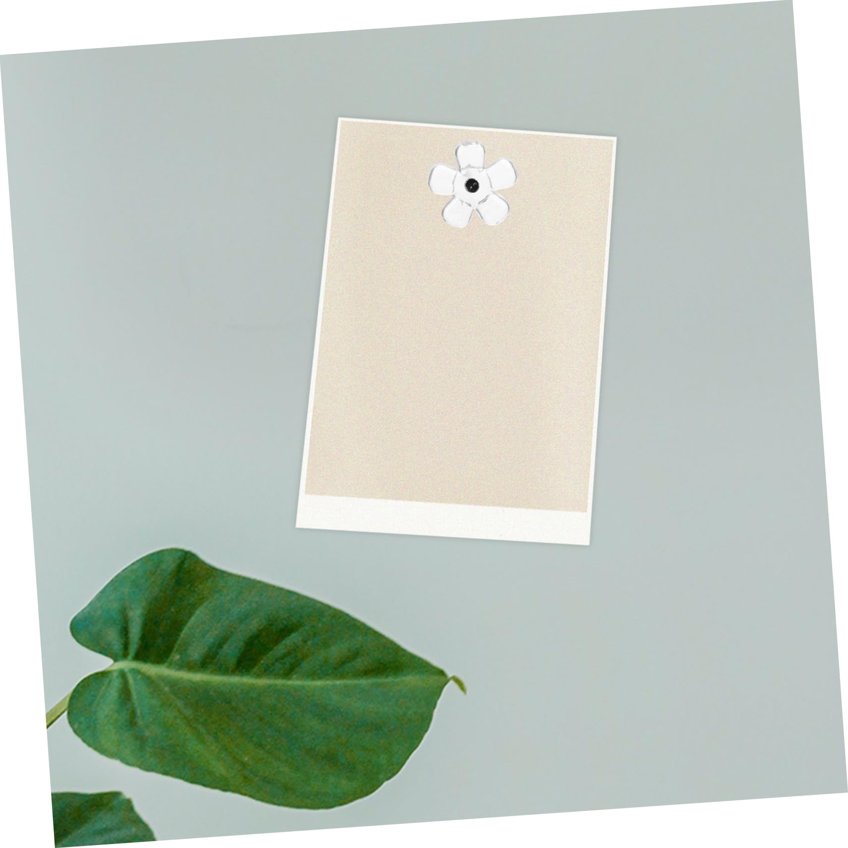 DOITOOL 4 Sätze Transparente Druckpins Für Pinnwände Reißzwecken Für Fotowände Kunstwerke Und Karten Fixieren Von Postern Und Karten 100 Stück * 4