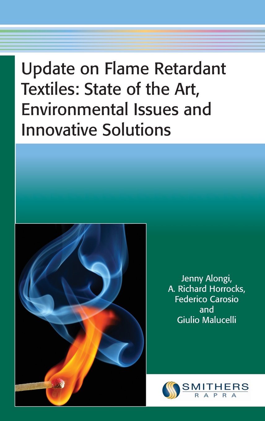 Buy Update on Flame Retardant Textiles: State of the Art, Environmental Issues and Innovative Solutions — BookShops.in
