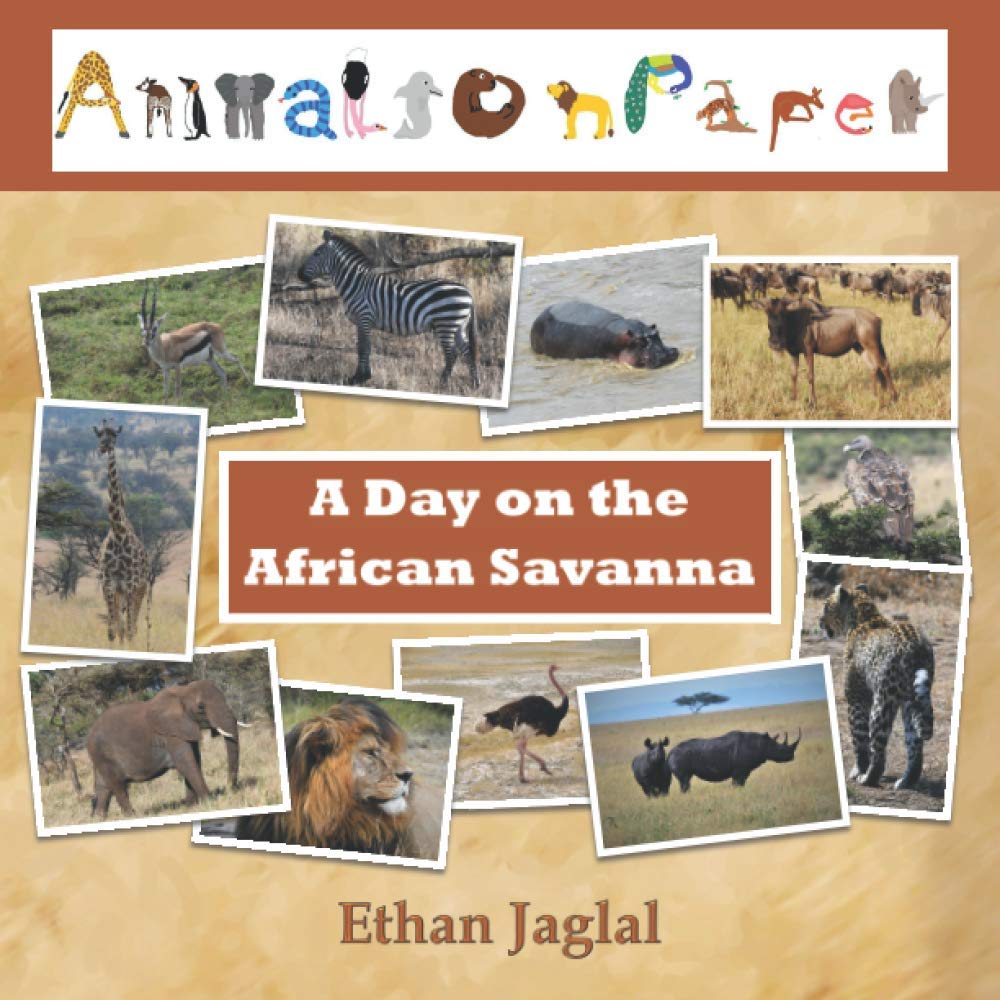 A Day on the African Savanna