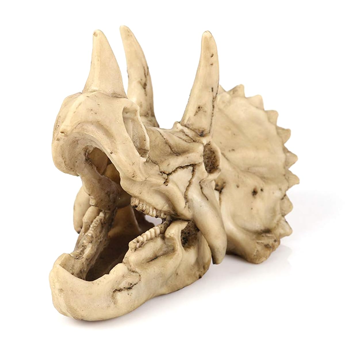 VOANZO Resin Triceratops Skull Model Replica, Dinosaur Tooth Skull Fossil, Photography Props Teaching Tool Home Ornament