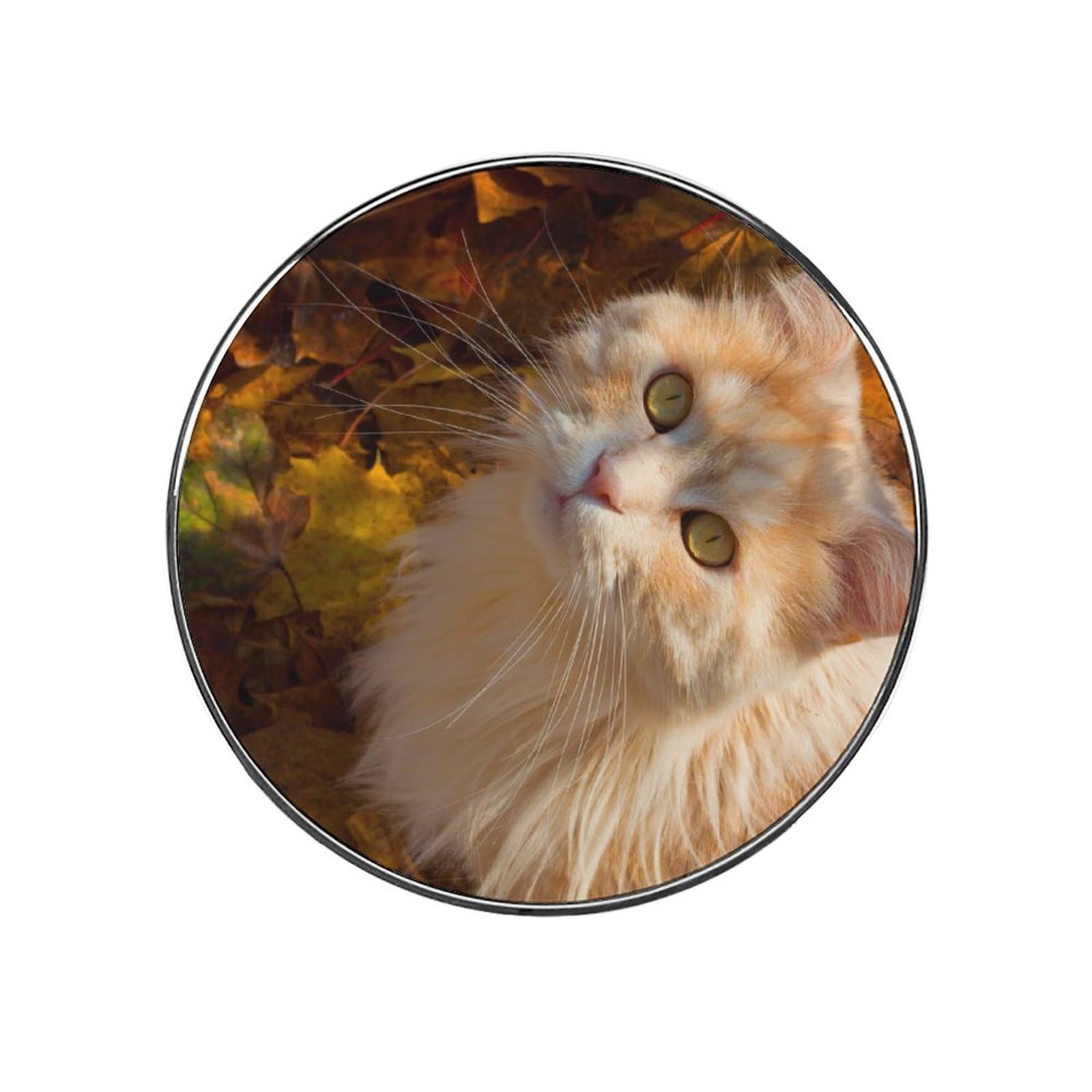 Cute Cat Magnets For Fridge Kitchen Decoration For Refrigerators Whiteboards