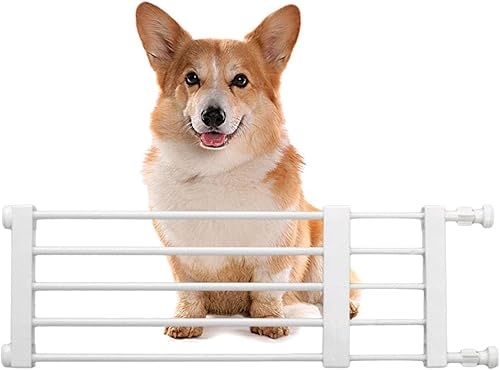 Puerta de metal para perros pequeños, puerta extensible para mascotas, puerta corta para perros para escaleras y puertas, puerta retráctil de