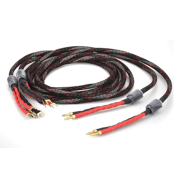 Buy DYSLAB Audiophile Speaker Cable HiFi BiWire Speaker Wire (4 Spade