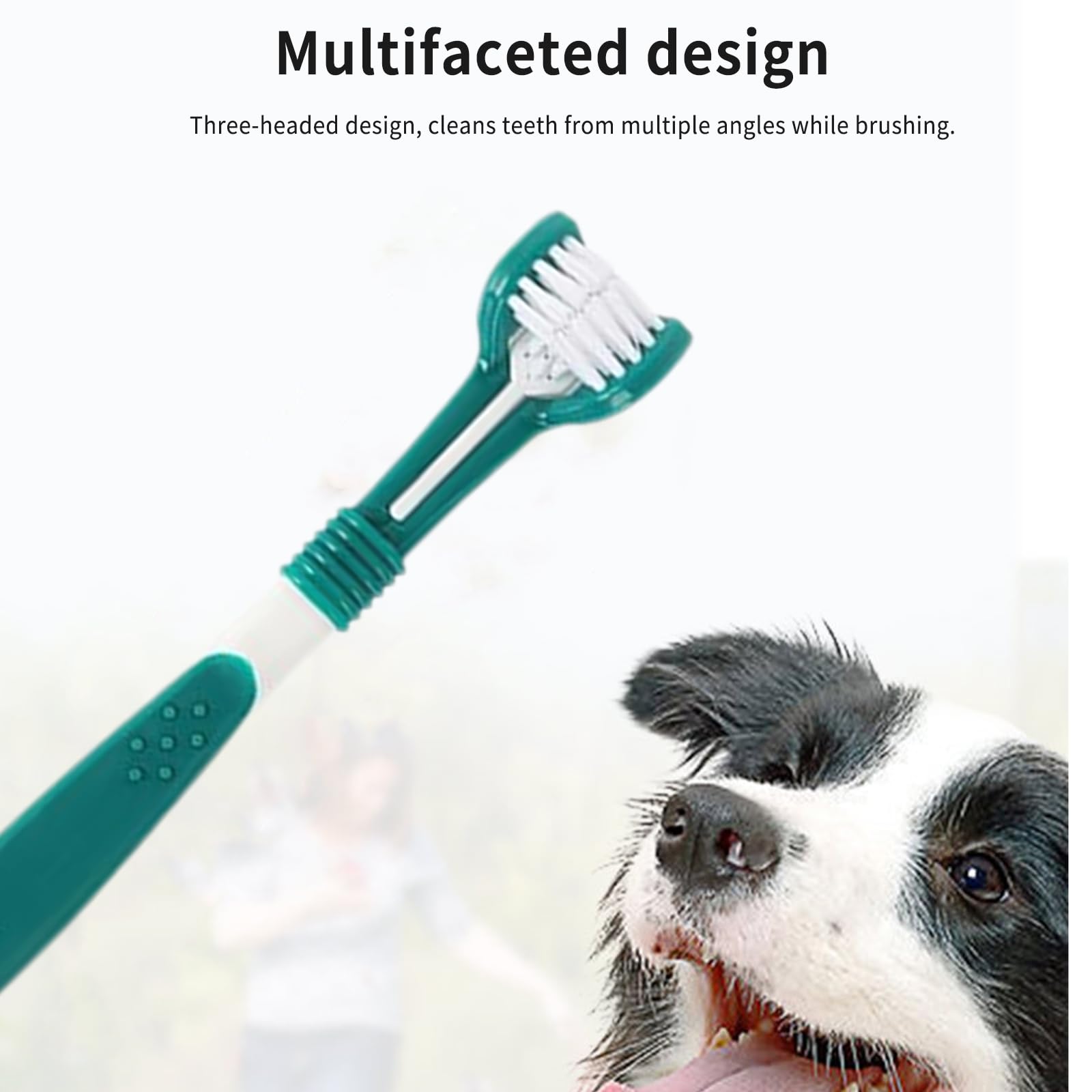 Dog Toothbrush Set, 10 PCS Dog Tooth Brush, Small Toothbrush for Dogs for Tartar Removal with 4 Pet Finger Toothbrushes - Image 3