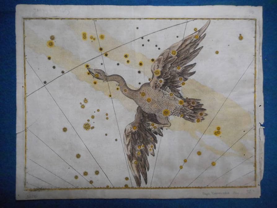 ウラノメトリア　星図 Amazon.co.jp: アンティーク、天文、天体、星座早見盤、手彩色銅