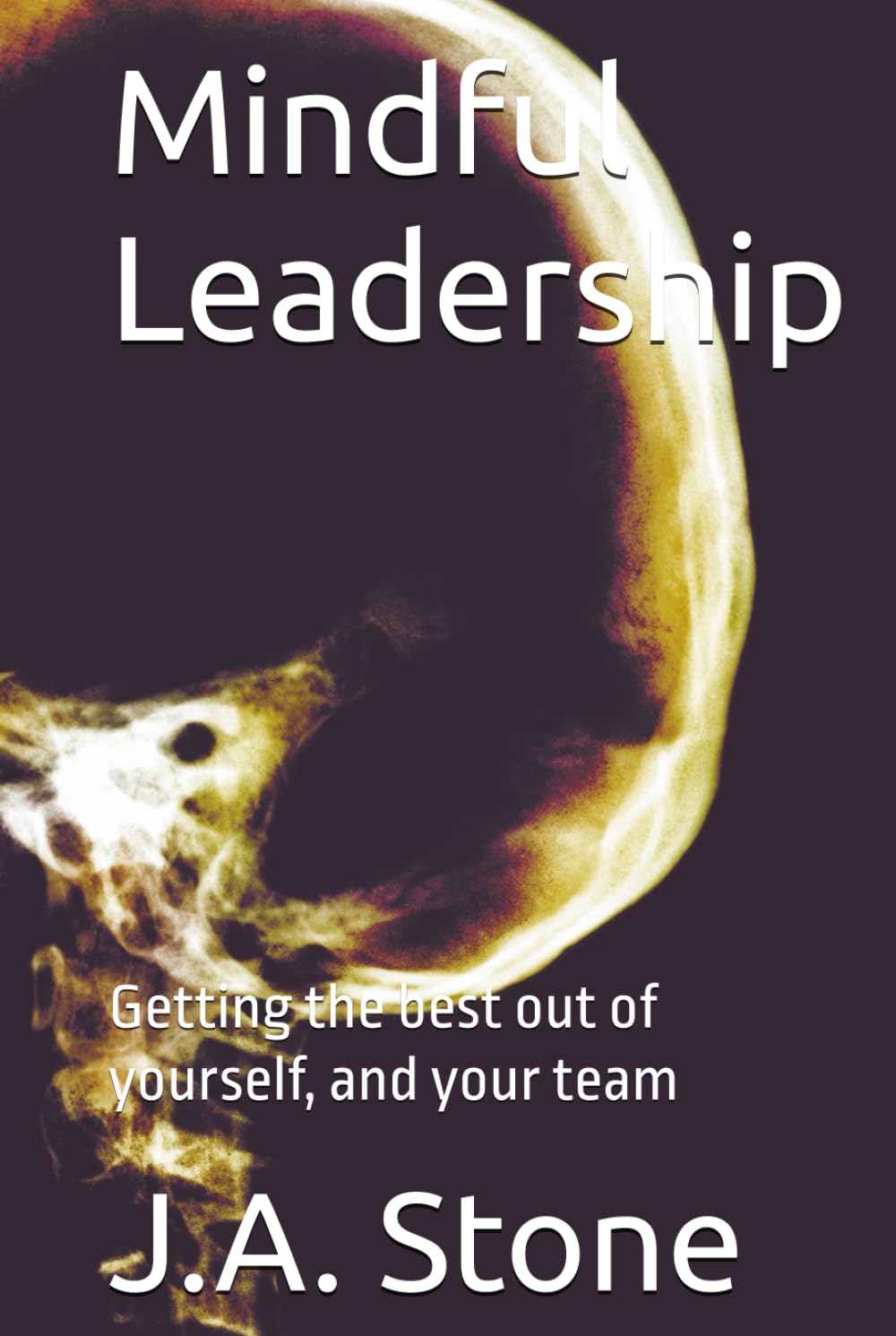 Mindful Leadership: Getting the best out of yourself, and your team (The Mindful Path)