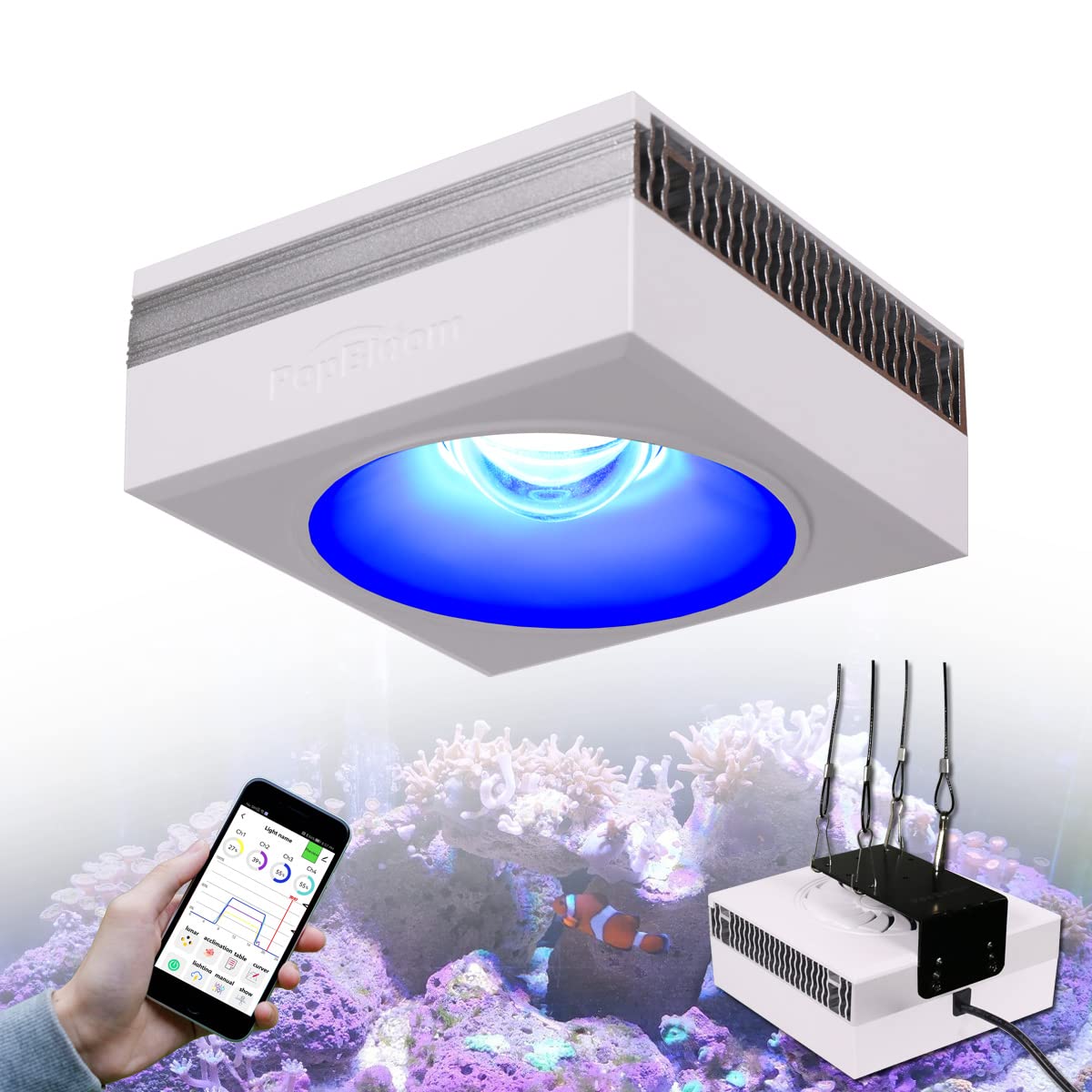 Amazon.com : PopBloom RL90 WiFi LED Aquarium Light Marine Aquarium