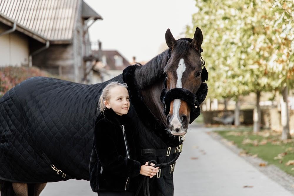 Kentucky Halter de Transporte Oveja