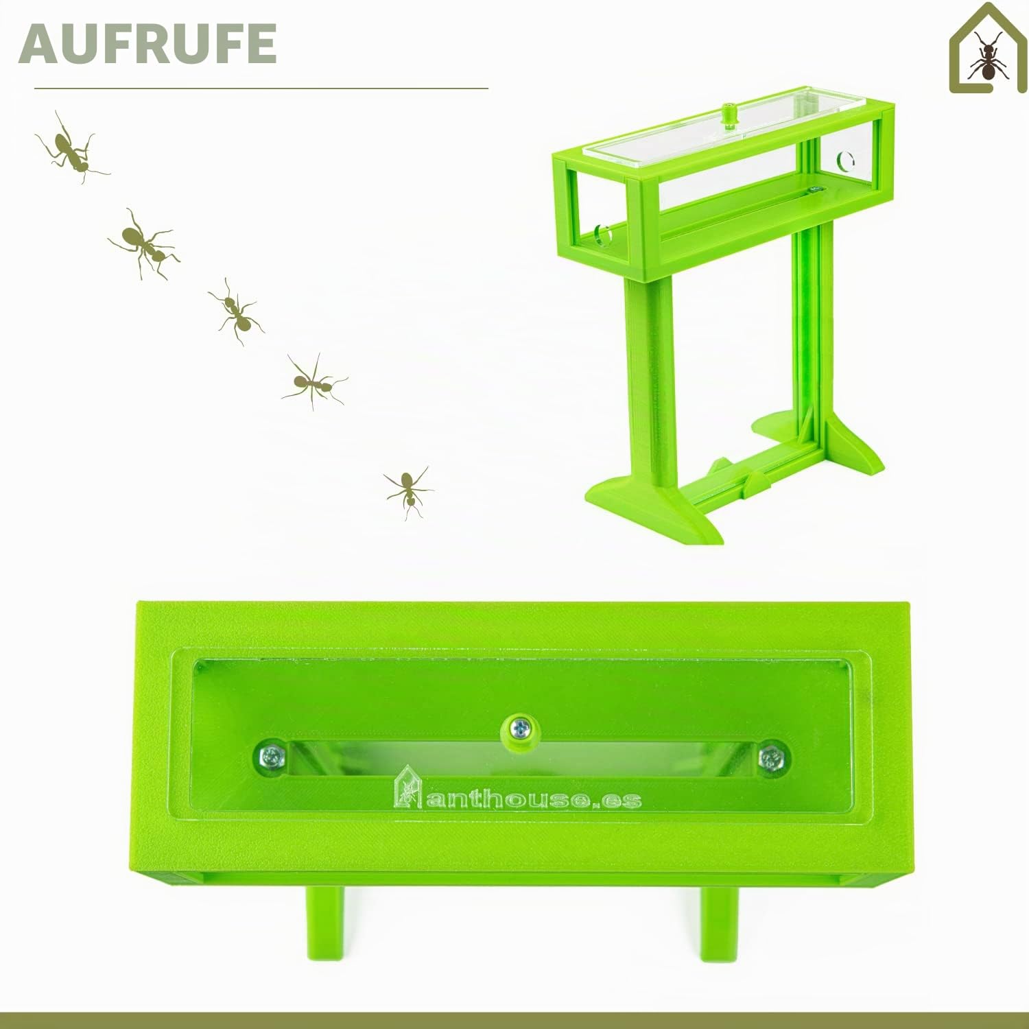 AntHouse - 3D Ameisenfarm aus Sand | Weiß T Kit 15x15x1,5 cm | Inklusive Ameisen