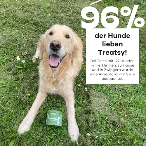 Treatsy Futterergänzungsmittel für Hunde Verdauung - Gegen Durchfall & Verstopfung - Präbiotika, Probiotika, Postbiotika, Psyllium - Von Tierkliniken empfohlen - 60 Hähnchen-Leckerlis
