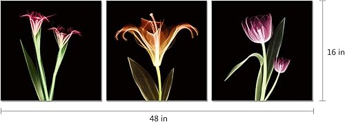 Miniatura 2 de Chic Home Decor Tropical - Juego de 3 piezas de lienzo envuelto para pared, arte para la pared, impresión giclée, moderno, multicolor, diseño