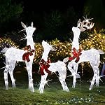 Outdoor Lighted Holiday Displays