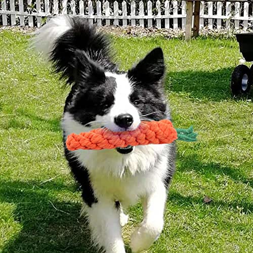 2 Pack Dog Haustier welpe kleine mittlere Hunde kauen Spielzeug Besen boaredom seilknoten Training Durable zähne interaktives Geschenk Set Baumwolle zahnärztliche Pflege behandelt ängstliche Giraffe