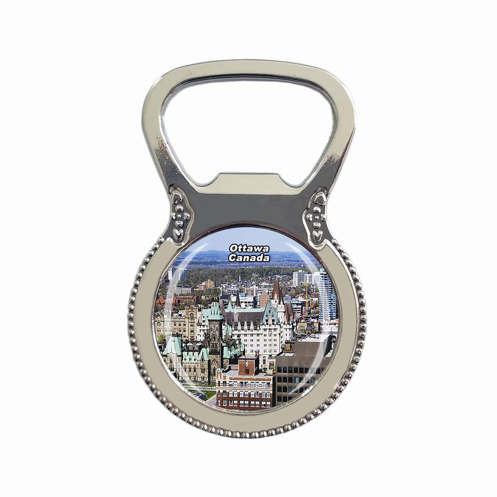 Toronto Canada - Magnete per frigorifero con foglia d'acero 3D, regalo per souvenir, in resina, fatto a mano, per frigorifero, collezione di decorazioni per casa e cucina