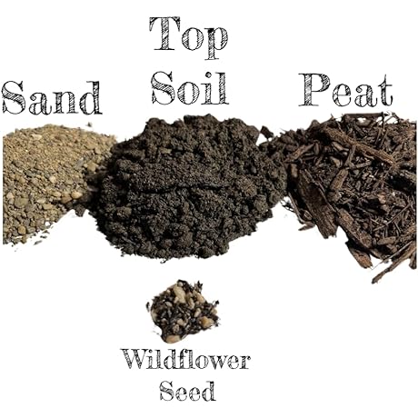 Premium Ant Farm Soil: Experience the Miniverse at Home