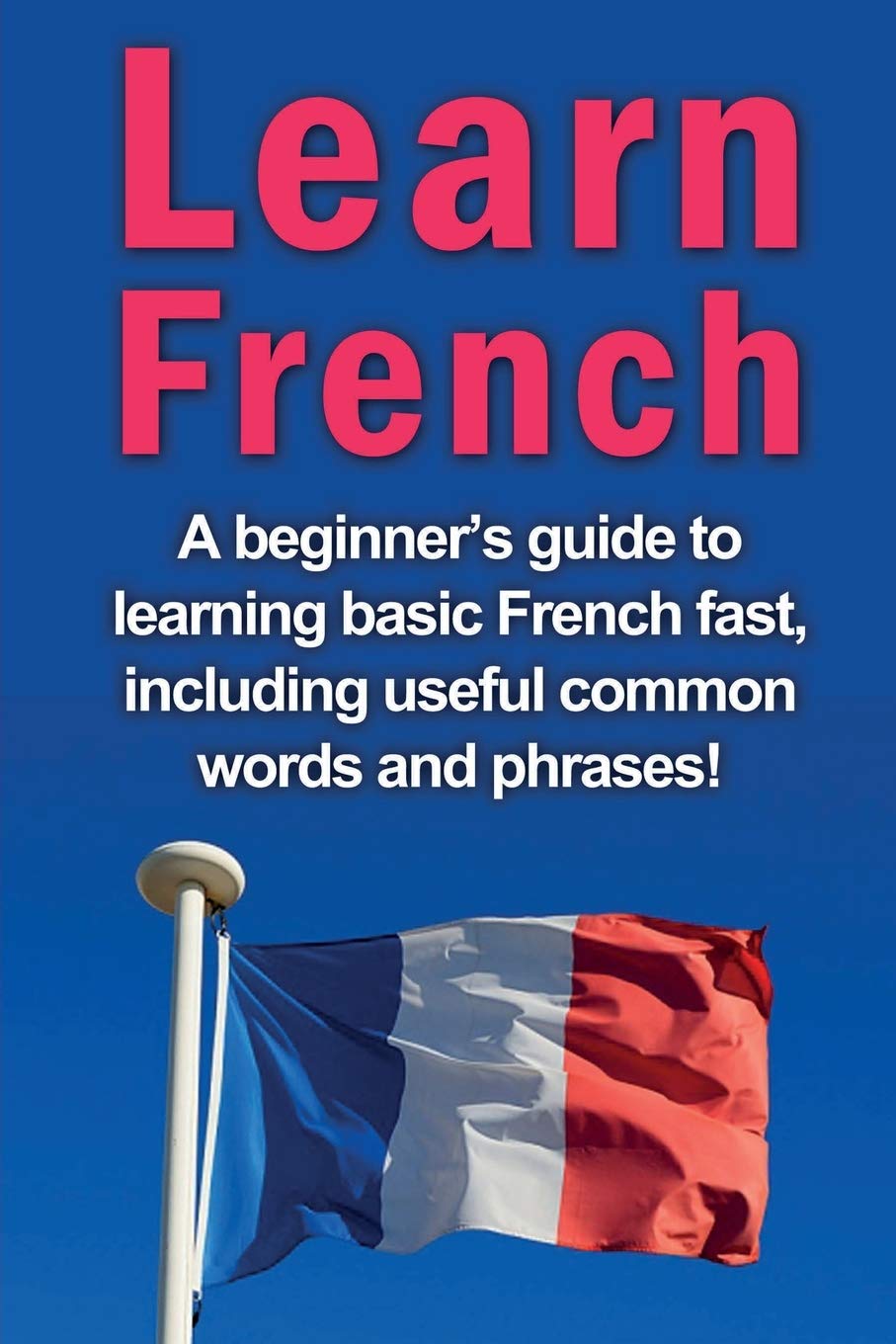 Ingram Publishing Learn French: A beginner's guide to learning basic French fast, including useful common words and phrases!