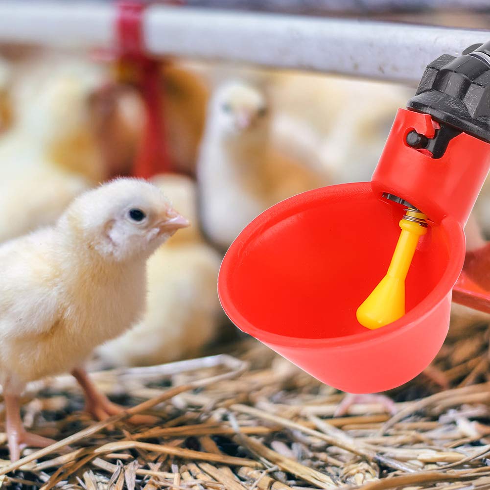 Essayez Le Distributeur d'eau à Boire Tasse de Consommateur de Consommateur de Buveur d'eau Distributeur d'eau Automatique, 10pcs en Plastique Automatique AI Oiseau à Eau Dispensateur Dispeller