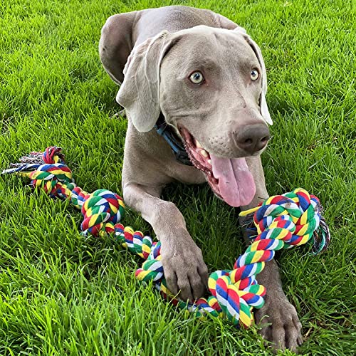 Image of Dog Rope Toys + Chew Toys, Combo Pack of 7 (Color May Vary)