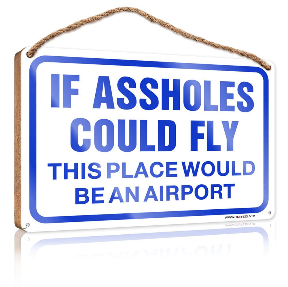 Front Door Wooden Sign If Assholes Could Fly This Place Would Be An Airport Wooden Sign Hanging Decor Door Funny Room Signs(20X30CM)