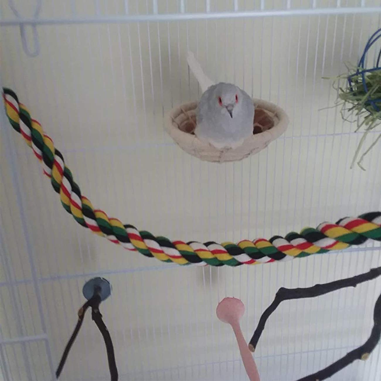 Povanjer Budgie Nest - Klein Vogelfoknestbed voor parkiet | Kleine