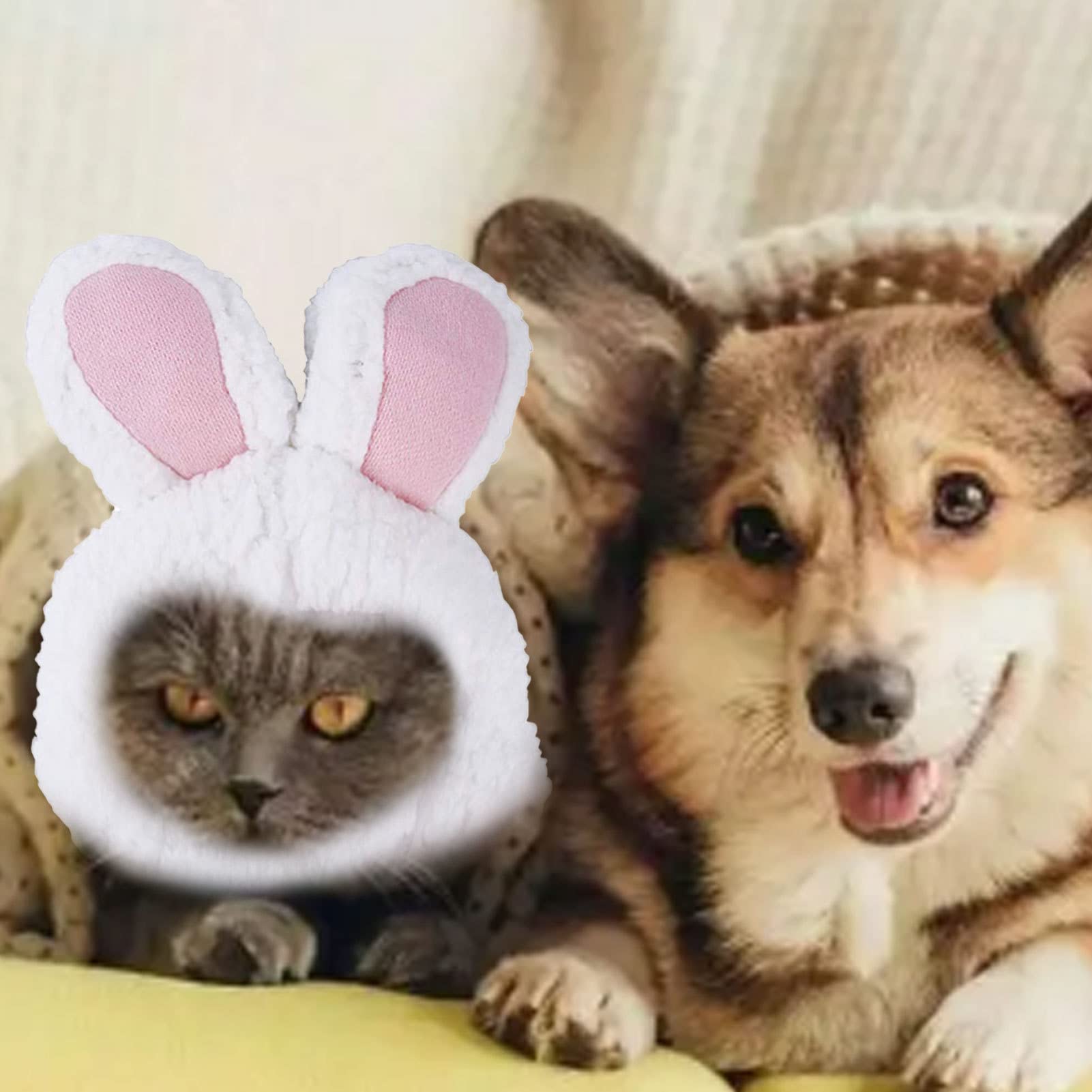 Lustiges Papst-Kostüm Für Hunde & Katzen - Perfekt Für Partys Und Fotos!