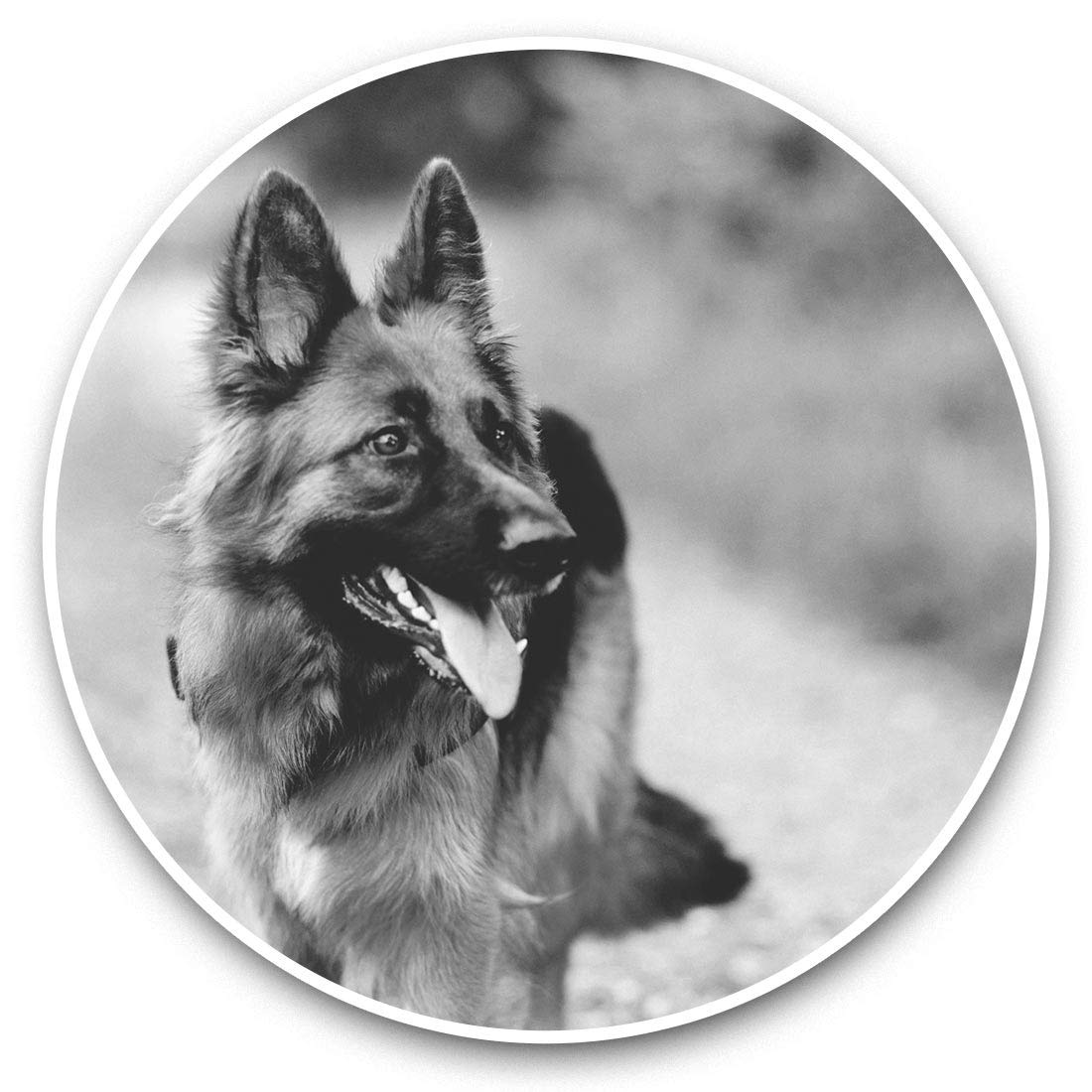 Destination Vinyl Ltd Bw German Shepherd Alsatian Dog 35306 2 X 30Cm Vinyl Stickers - German Shepherd Alsatian Dog 35306