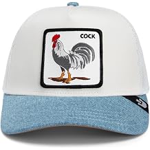 Goorin Bros. Shleathers Collection Trucker Hat for Men and Women