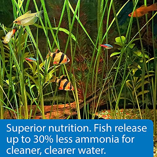 Api Tropical Pellets Sinking Pellets Fish Food 1.6-Ounce Container, Small (823A) #TOP3