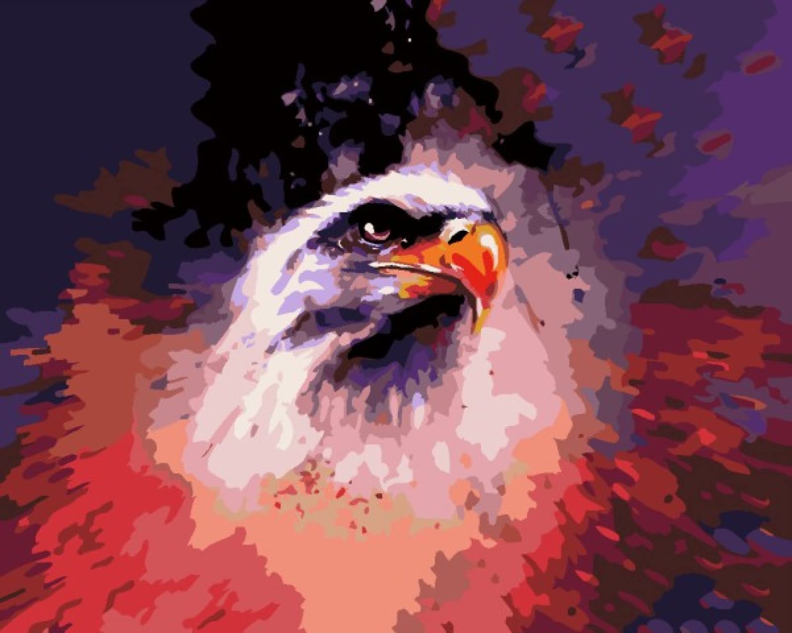 Point de croix Aigle coloré : canevas imprimé facile pour débutant - 8