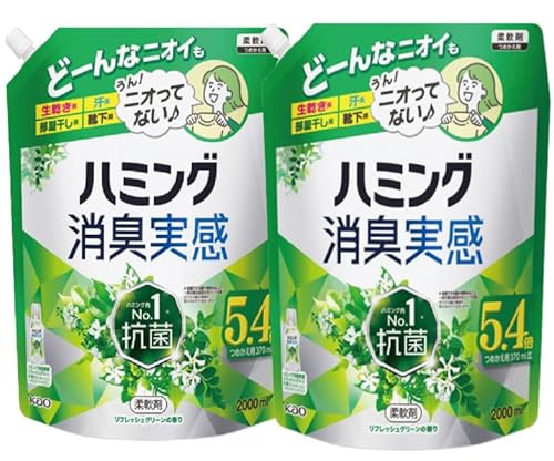 【まとめ買い】ハミング 【大容量】消臭実感 柔軟剤 部屋干し/曇り干し/夜干しどーんな時も無敵消臭! リフレッシュグリーンの香り つめかえ用2000ml×2