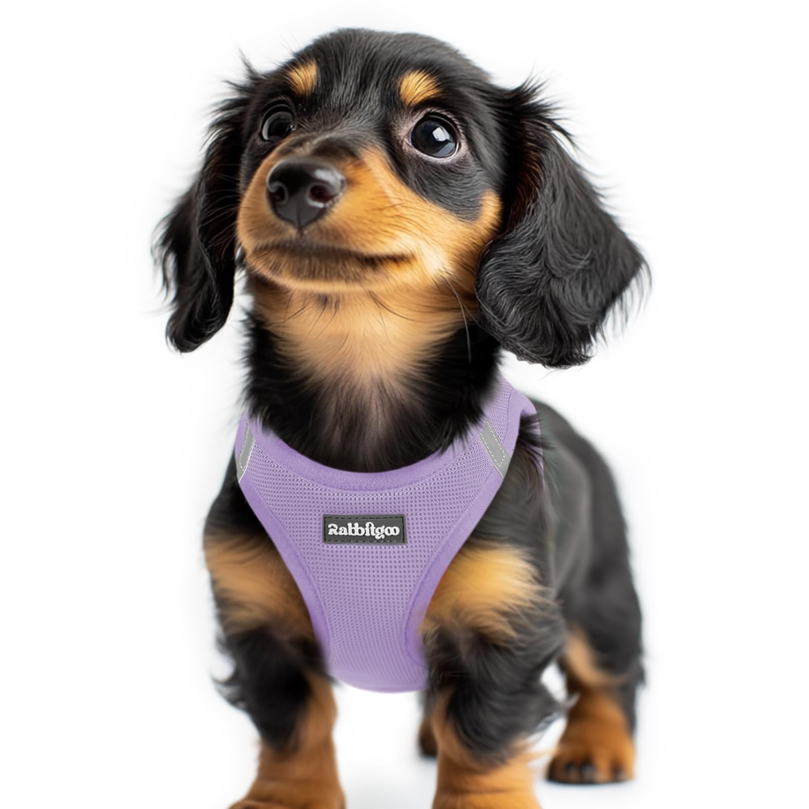 rabbitgoo Dog Harness Small Dog, Step-in Soft Mesh Puppy Harness with Reflective Strips, Lightweight Breathable Pet Vest for Walking Training, Light Purple, XXS