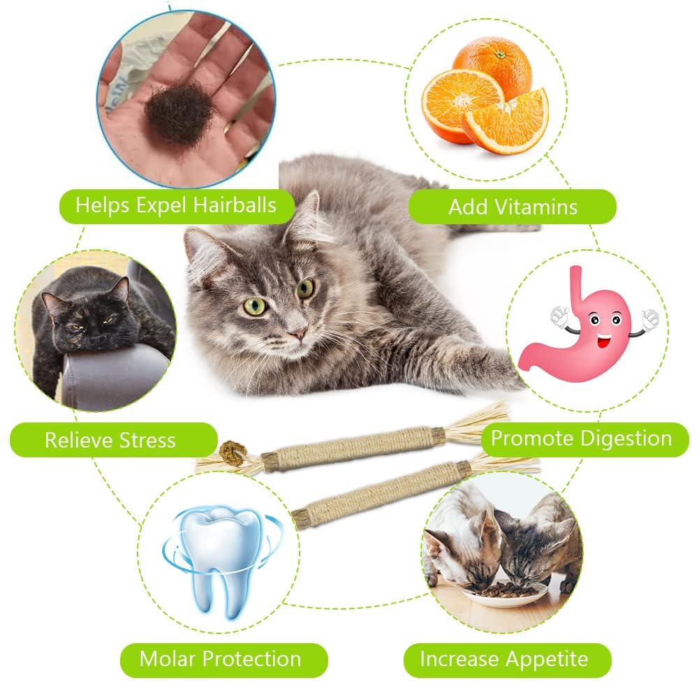 3 Bastoncini Da Masticare Per Gatti – Erba Gatta E Matatabi, A Forma Di Pesce E Frutta, Per Pulire I Denti E Rilassare Il Micio