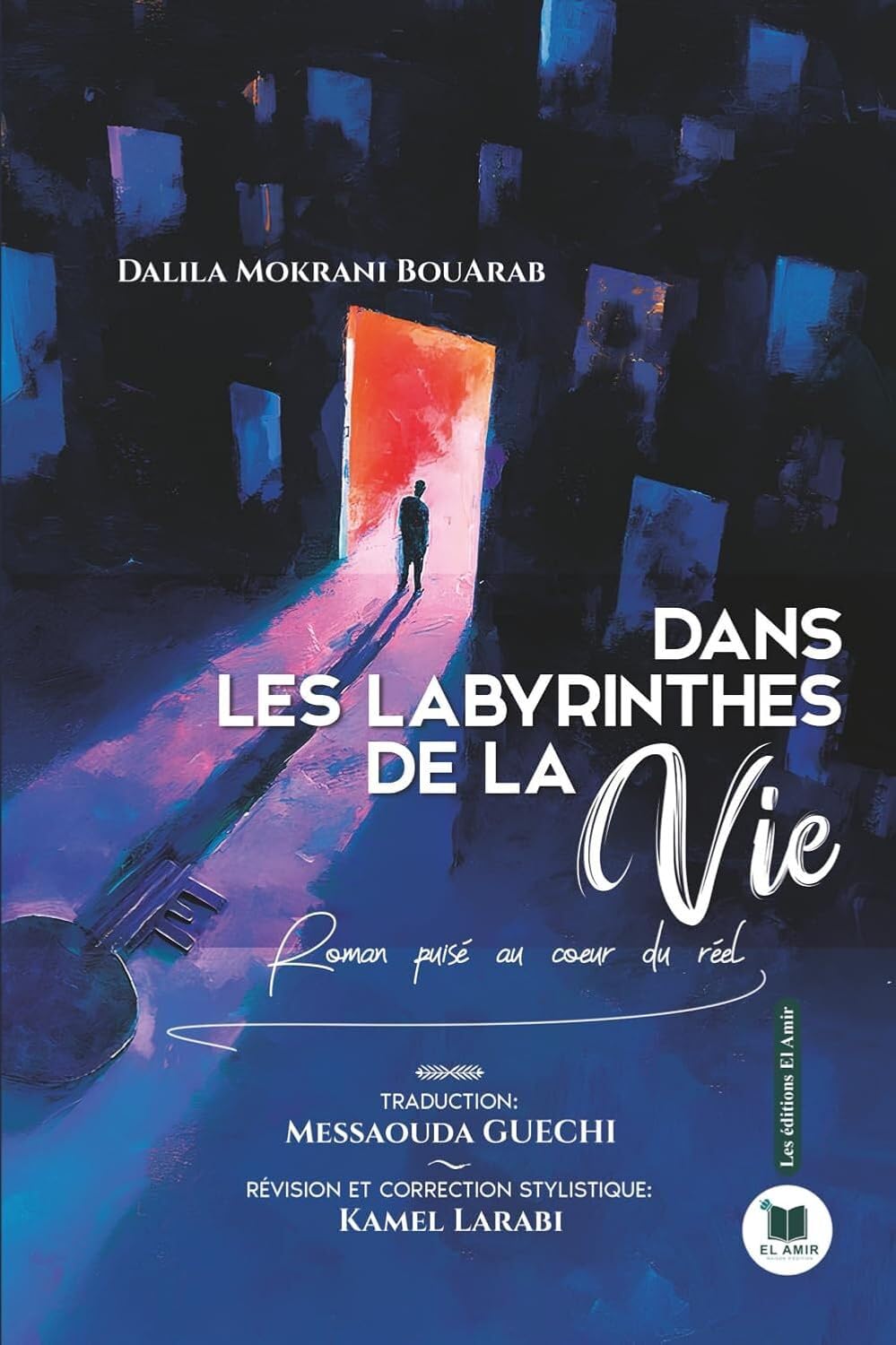 Dans les labyrinthes de la vie: Romain puisé au cœur du réel