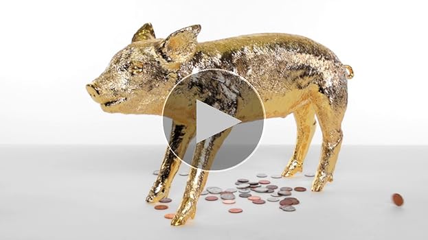 Amazon.com: Areaware Bank in The Form of a Pig (Gold Chrome