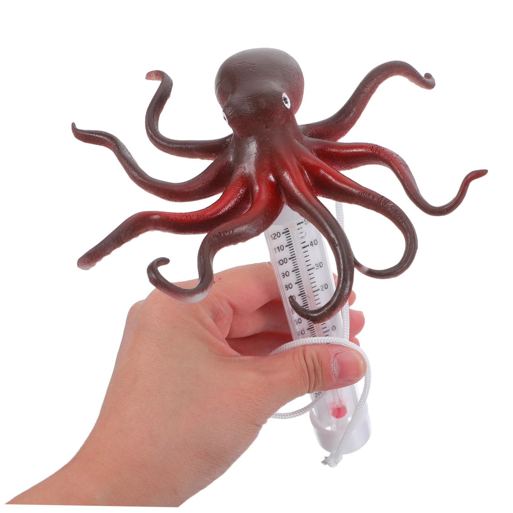 Toyvian Termometro Galleggiante per Forma Misuratore Temperatura per Spa Vasche e Acquari Facile e Utilizzo Design Adatto AI Accuratezza Garantita
