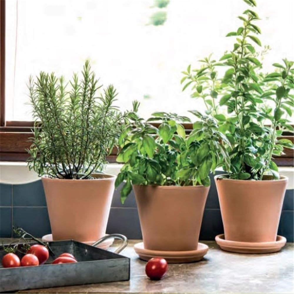 Versatile Sottovaso for piante in vaso piccolo in terracotta da 5,1 pollici