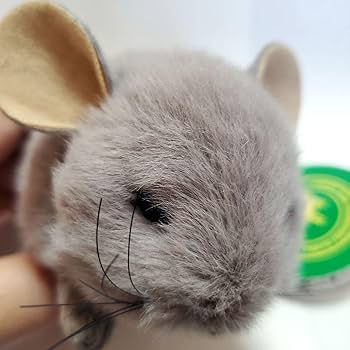 【未使用タグ付き】チンチラぬいぐるみ 2020年干支の動物 子（ネズミ） Amazon.co.jp: 上野動物園 干支ぬいぐるみ 2020年限定 ネズミ