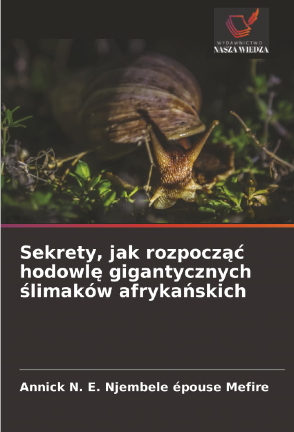 Sekrety, jak rozpocząć hodowlę gigantycznych ślimaków afrykańskich