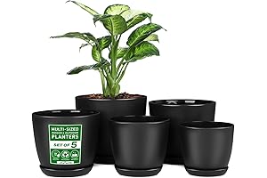 Attractive Macetas: 5-Pack Stackable Plant Pots with Multi Drainage Holes