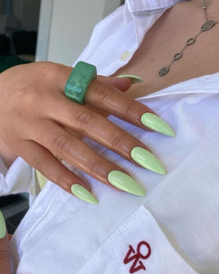 Sparkling Nailon Acrylic Mint green Press On Nails Designer Artificial Nails Extension 20 Pieces Free Size (Stiletto)