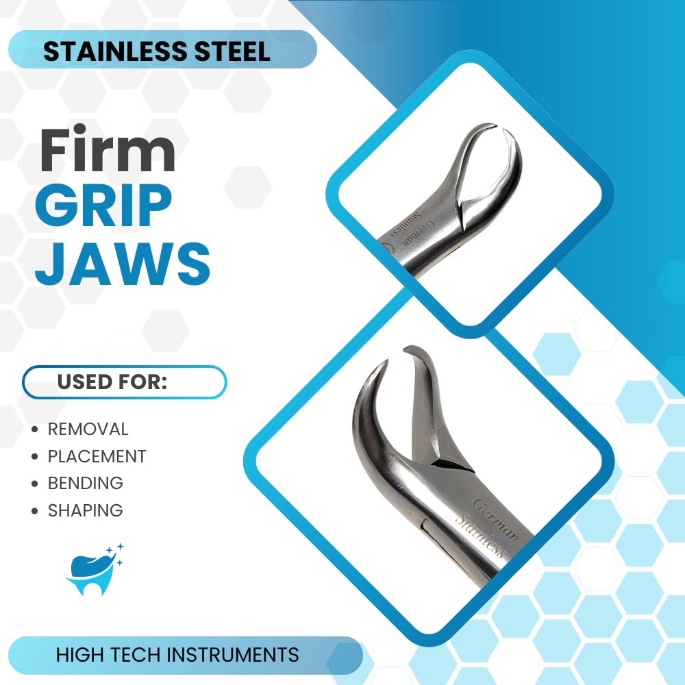 HTI Dental Extracting Forceps #16 Cow-Horn Beak Stainless Steel Dentistry Instrument Student Training for Tooth Extraction