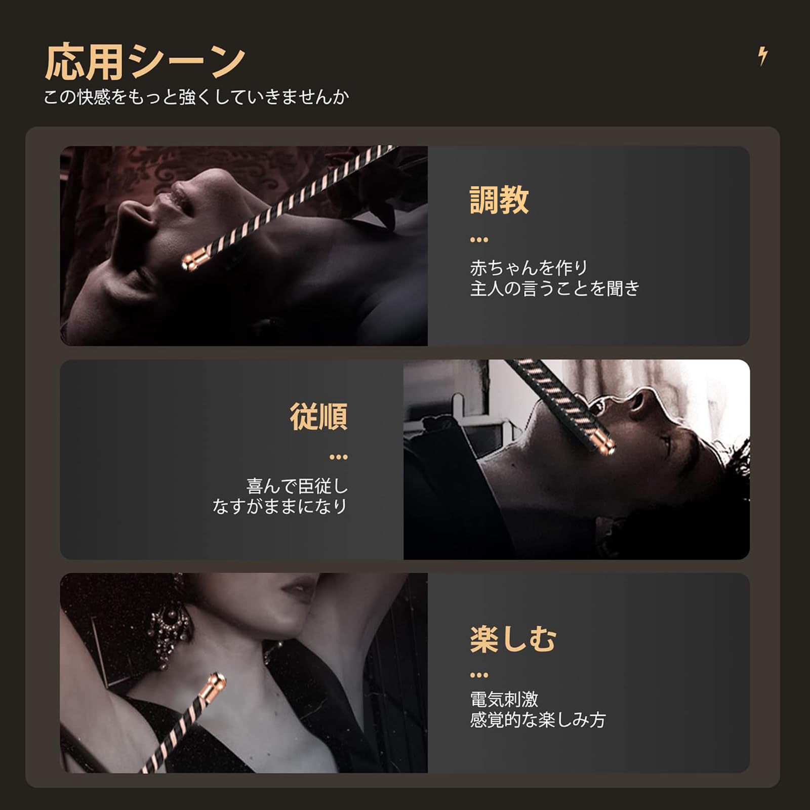 Amazon | Sm鞭 たたく楽しみ USB充電安全電流 お仕置き ZW-112バラ鞭